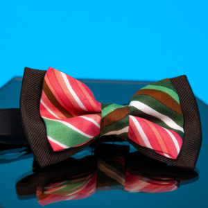 Cotton bow tie - Cinzia Rossi